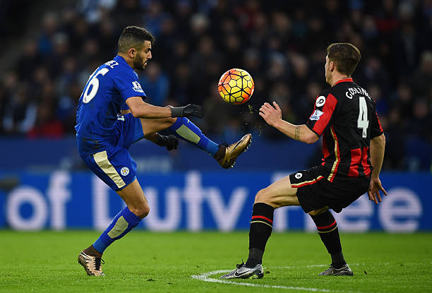 不仅展现了 不仅展现了