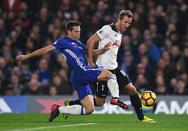 描绘的部分 描绘的部分